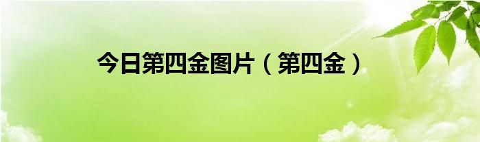 今日第四金图片（第四金）