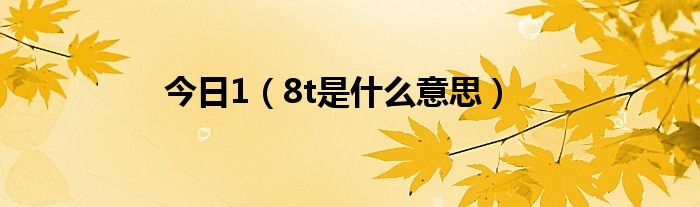 今日1（8t是什么意思）