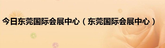 今日东莞国际会展中心（东莞国际会展中心）