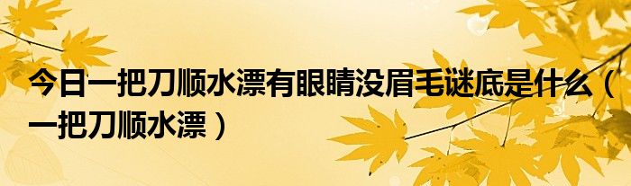 今日一把刀顺水漂有眼睛没眉毛谜底是什么（一把刀顺水漂）