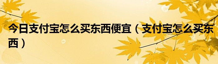 今日支付宝怎么买东西便宜（支付宝怎么买东西）