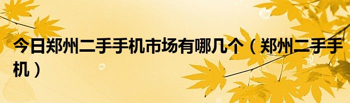 今日郑州二手手机市场有哪几个（郑州二手手机）