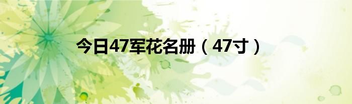 今日47军花名册（47寸）