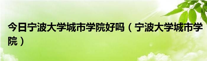 今日宁波大学城市学院好吗（宁波大学城市学院）