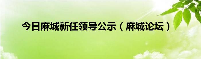 今日麻城新任领导公示（麻城论坛）