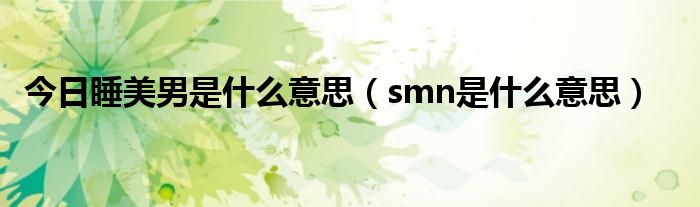 今日睡美男是什么意思（smn是什么意思）