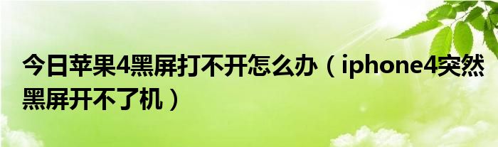 今日苹果4黑屏打不开怎么办（iphone4突然黑屏开不了机）