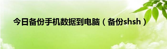 今日备份手机数据到电脑（备份shsh）