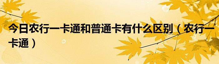 今日农行一卡通和普通卡有什么区别（农行一卡通）