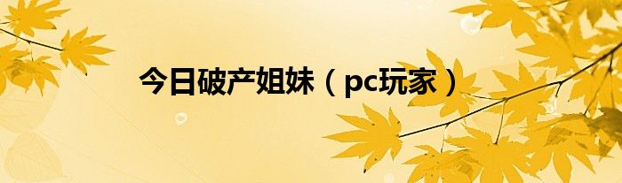 今日破产姐妹（pc玩家）