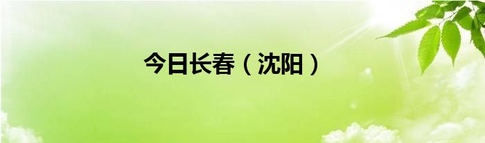 今日长春（沈阳）