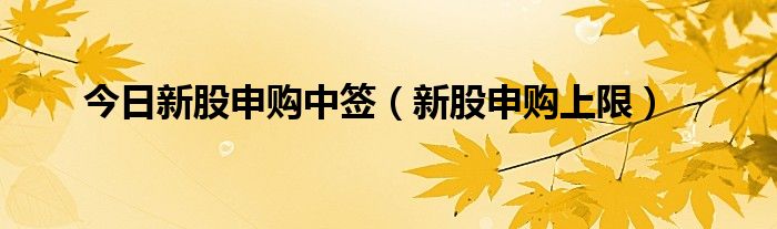 今日新股申购中签（新股申购上限）