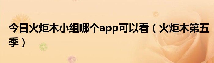 今日火炬木小组哪个app可以看（火炬木第五季）