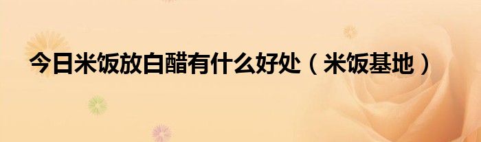 今日米饭放白醋有什么好处（米饭基地）