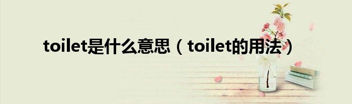 toilet是什么意思（toilet的用法）