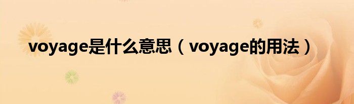 voyage是什么意思（voyage的用法）