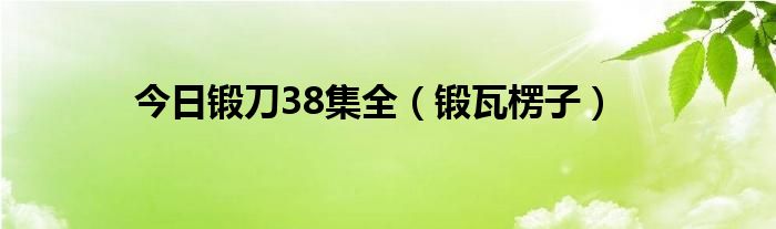 今日锻刀38集全（锻瓦楞子）