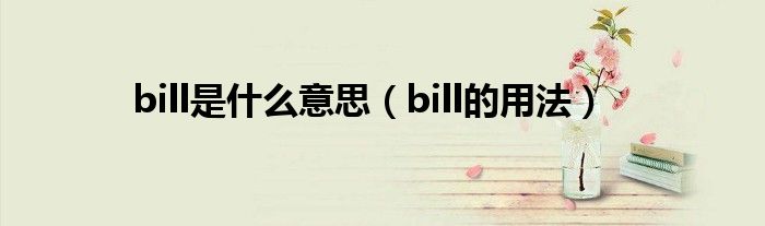 bill是什么意思（bill的用法）