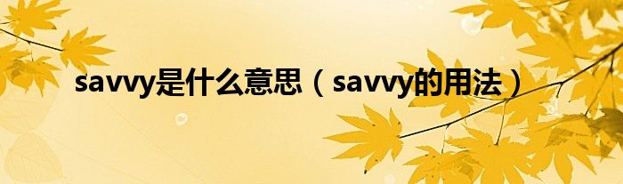 savvy是什么意思（savvy的用法）