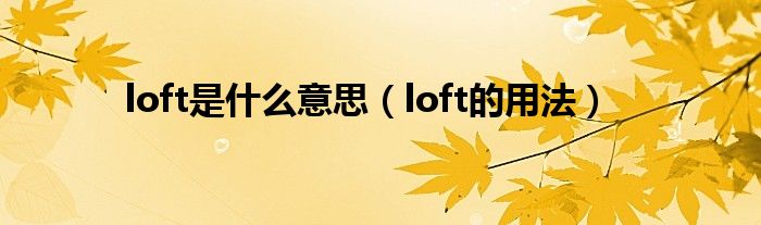 loft是什么意思（loft的用法）