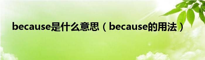 because是什么意思（because的用法）