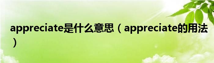 appreciate是什么意思（appreciate的用法）