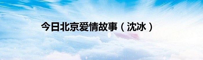 今日北京爱情故事（沈冰）