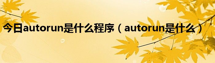 今日autorun是什么程序（autorun是什么）