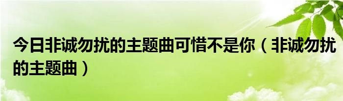 今日非诚勿扰的主题曲可惜不是你（非诚勿扰的主题曲）