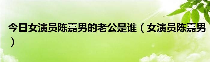 今日女演员陈嘉男的老公是谁（女演员陈嘉男）