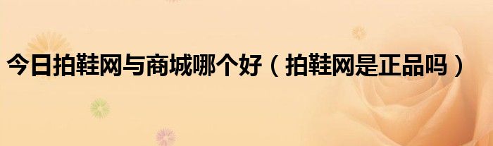 今日拍鞋网与商城哪个好（拍鞋网是正品吗）