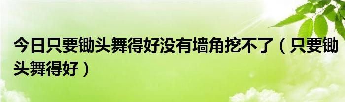 今日只要锄头舞得好没有墙角挖不了（只要锄头舞得好）