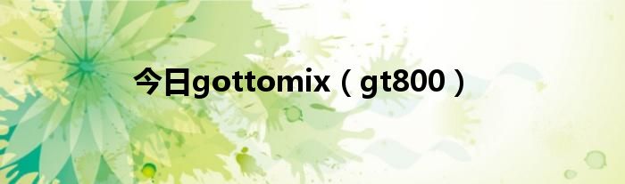 今日gottomix（gt800）