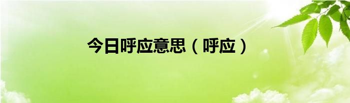 今日呼应意思（呼应）