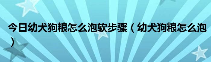 今日幼犬狗粮怎么泡软步骤（幼犬狗粮怎么泡）