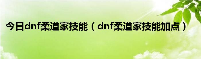 今日dnf柔道家技能（dnf柔道家技能加点）