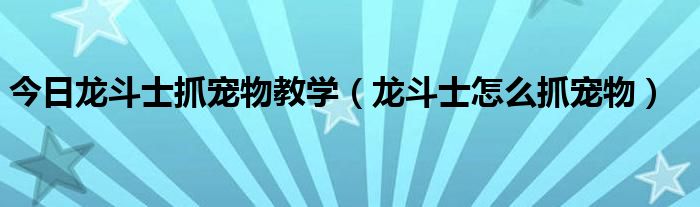 今日龙斗士抓宠物教学（龙斗士怎么抓宠物）