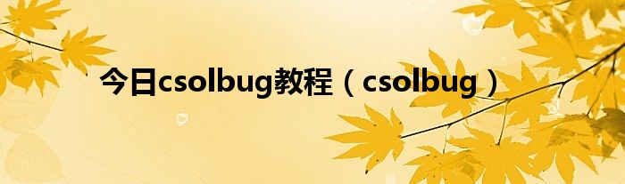 今日csolbug教程（csolbug）