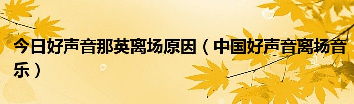 今日好声音那英离场原因（中国好声音离场音乐）