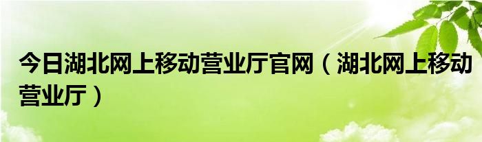 今日湖北网上移动营业厅官网（湖北网上移动营业厅）