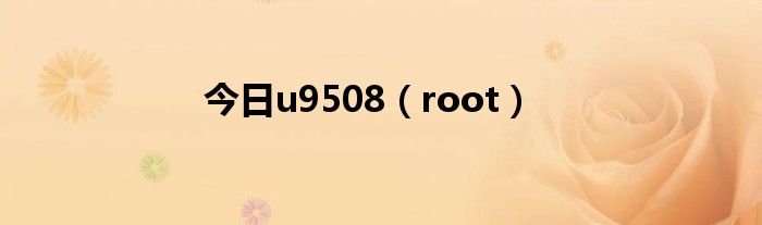 今日u9508（root）