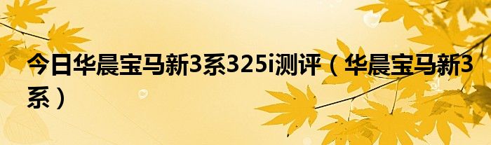 今日华晨宝马新3系325i测评（华晨宝马新3系）