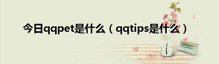 今日qqpet是什么（qqtips是什么）