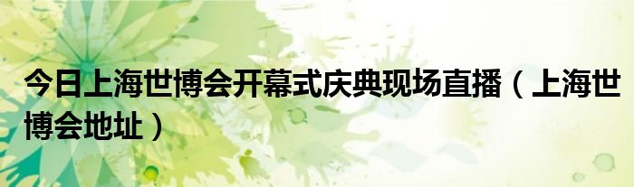 今日上海世博会开幕式庆典现场直播（上海世博会地址）