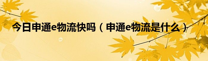 今日申通e物流快吗（申通e物流是什么）