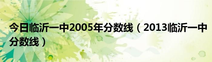 今日临沂一中2005年分数线（2013临沂一中分数线）