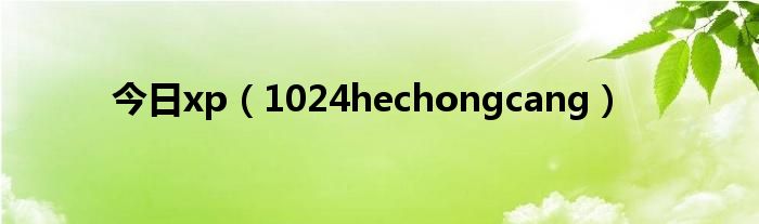 今日xp（1024hechongcang）