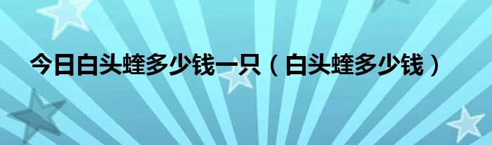 今日白头蝰多少钱一只（白头蝰多少钱）