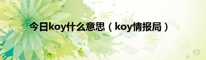 今日koy什么意思（koy情报局）