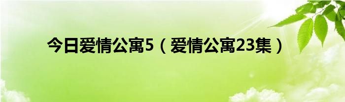 今日爱情公寓5（爱情公寓23集）